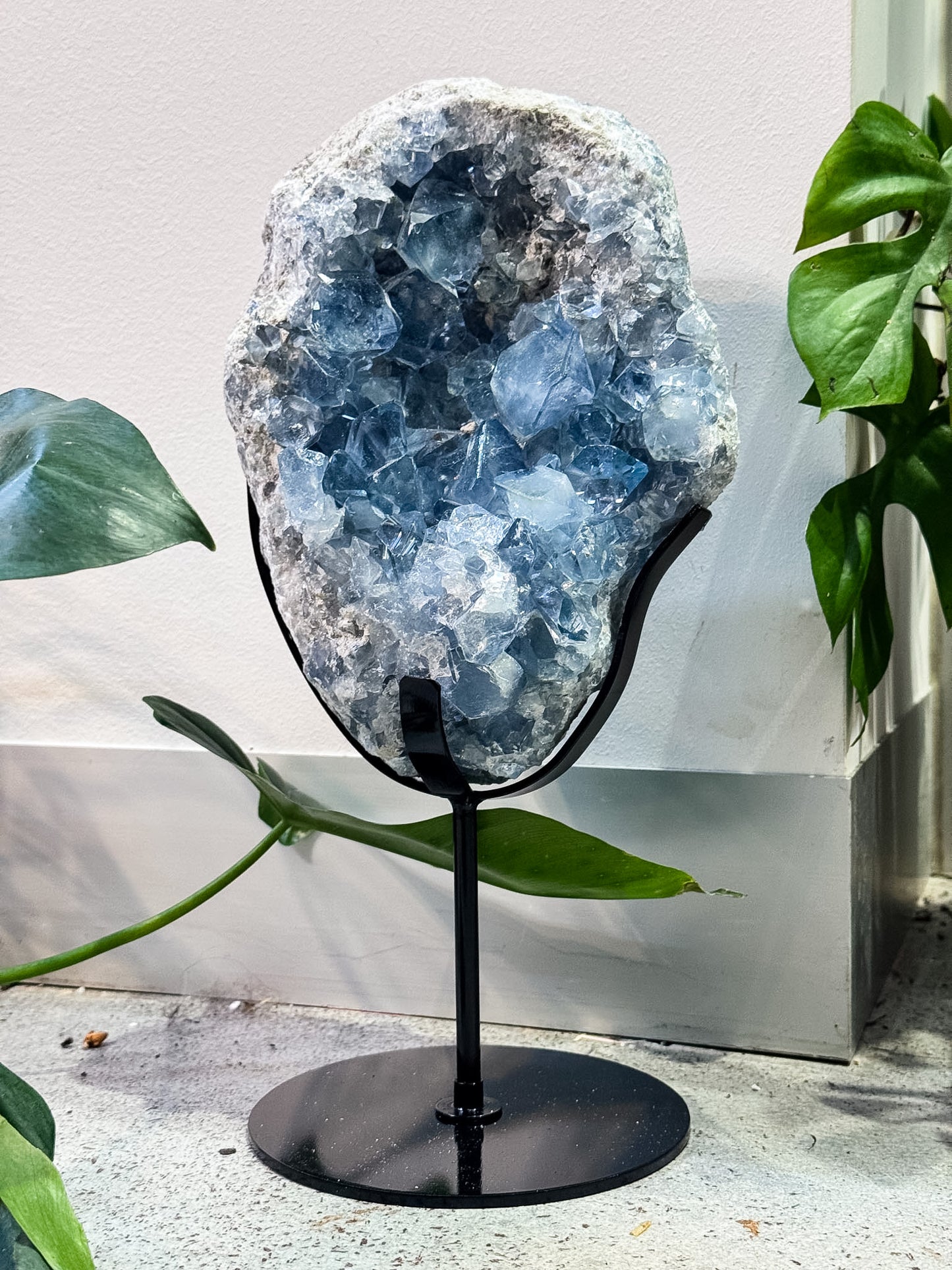 Large Celestite Cluster on Stand