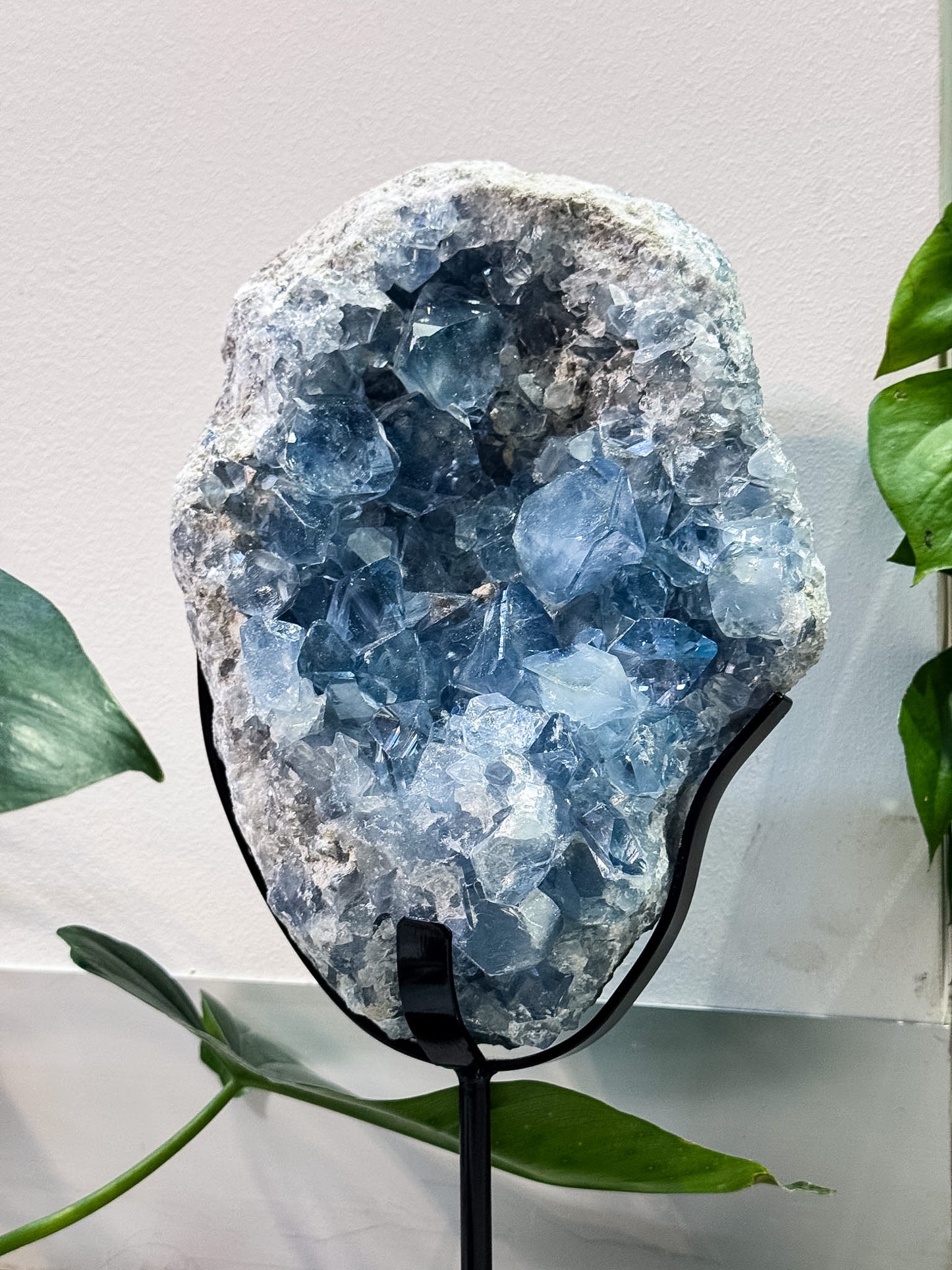 Large Celestite Cluster on Stand