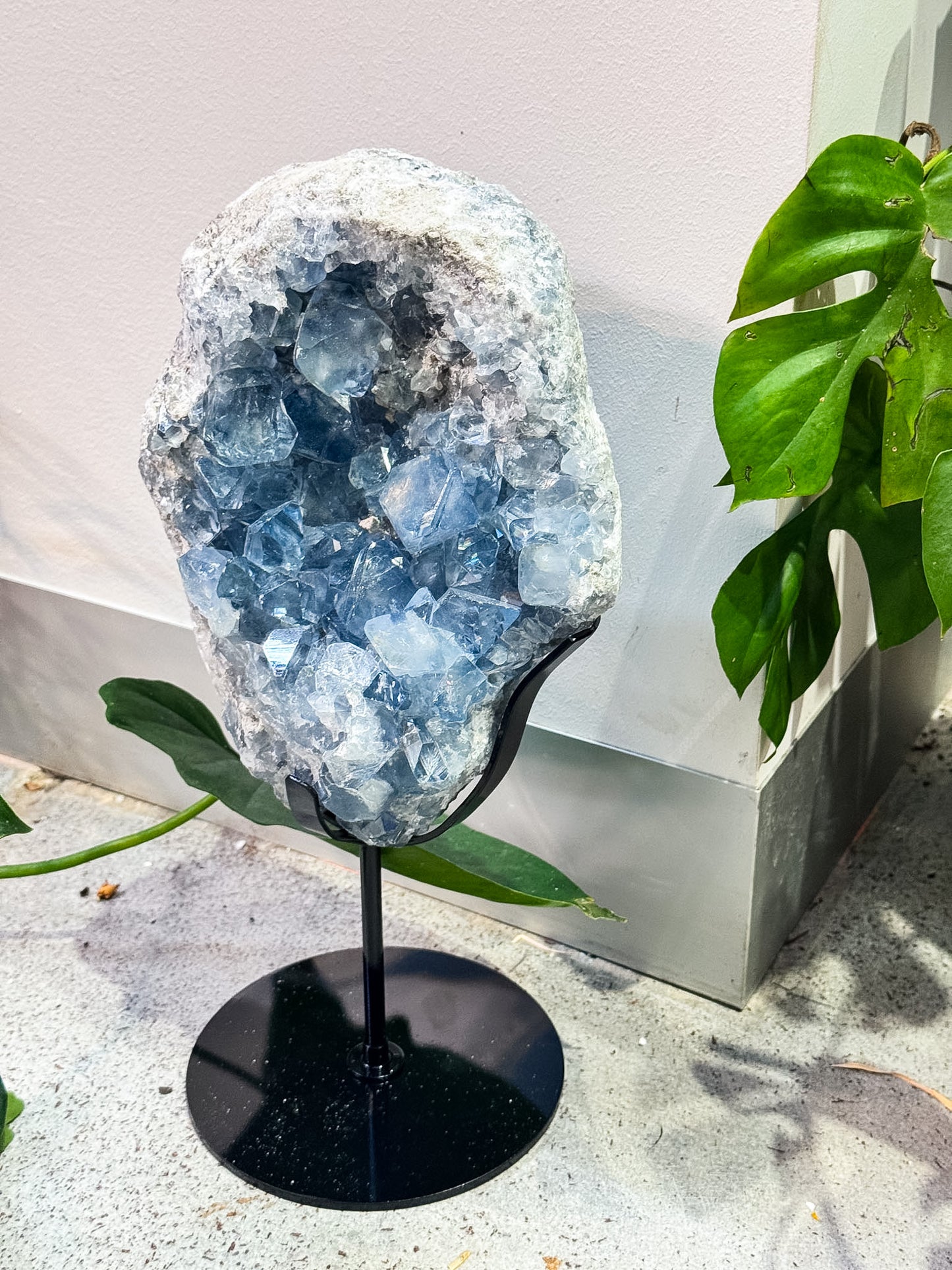 Large Celestite Cluster on Stand