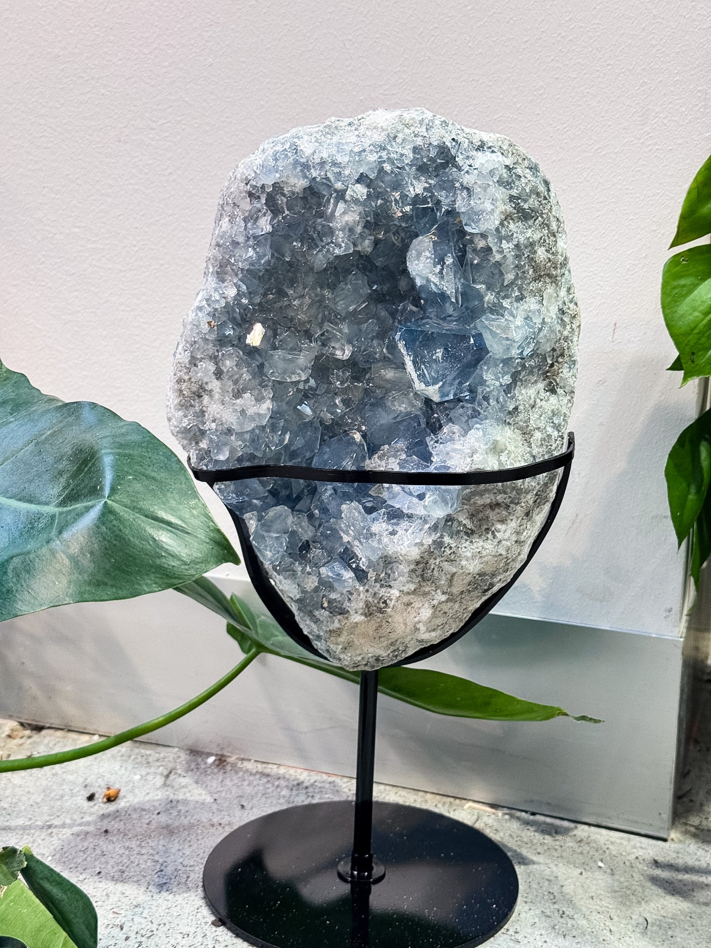 Large Celestite Cluster on Stand