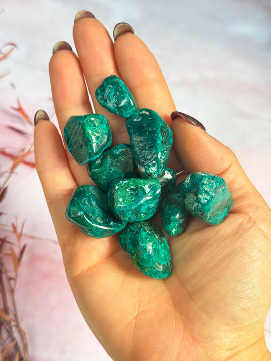 Dioptase Freeforms
