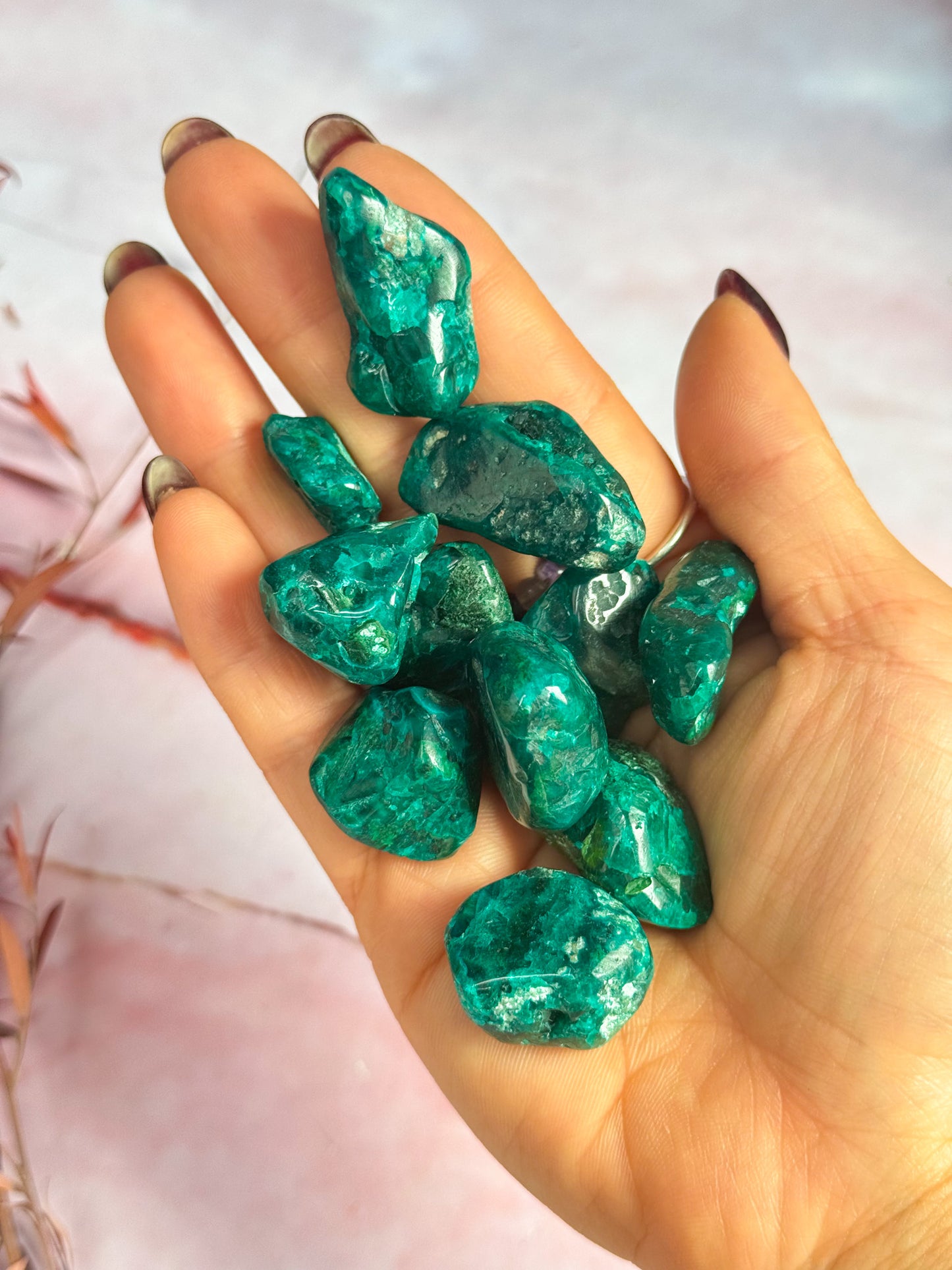 Dioptase Freeforms