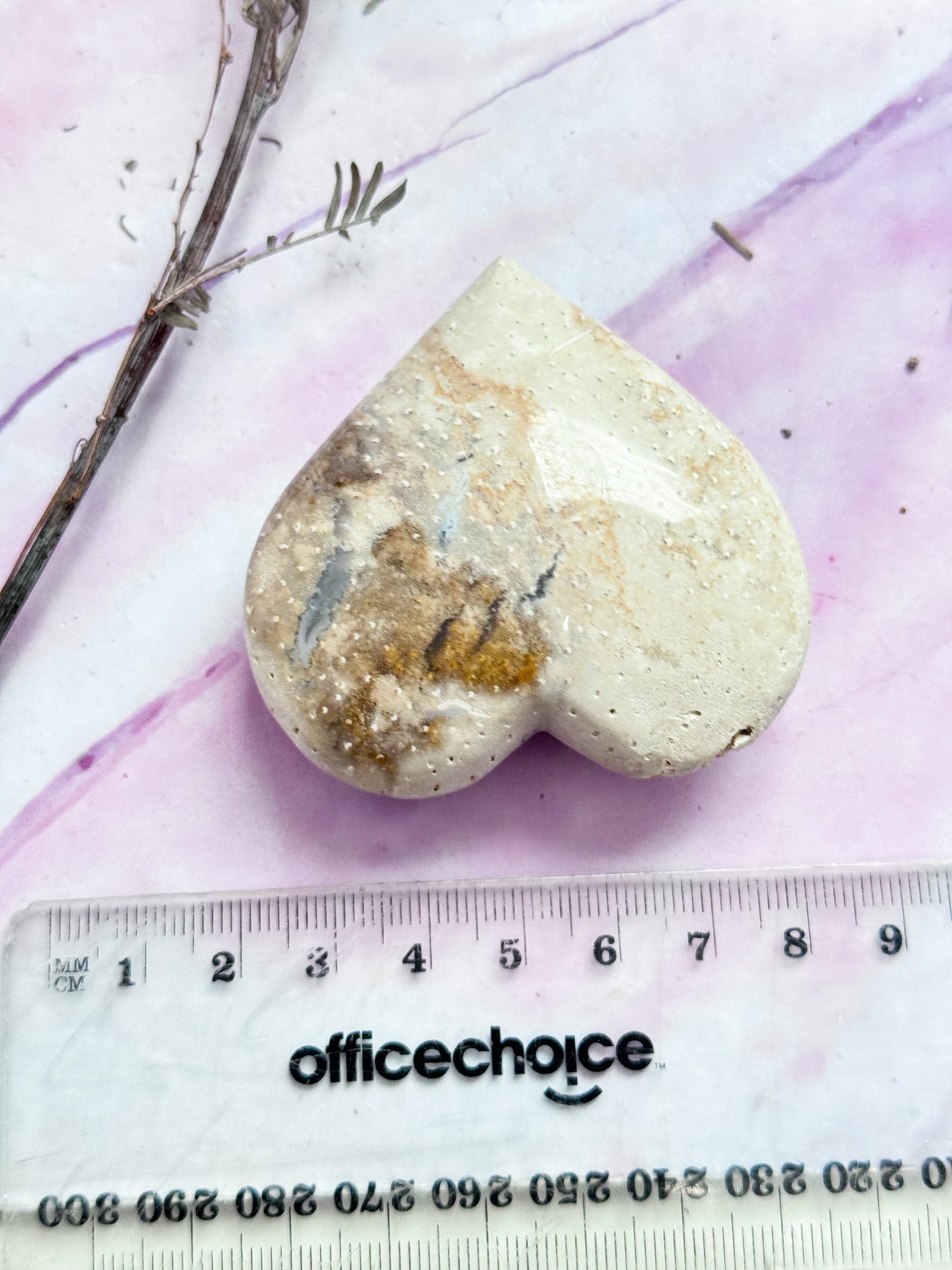 Petrified Palm Root Hearts