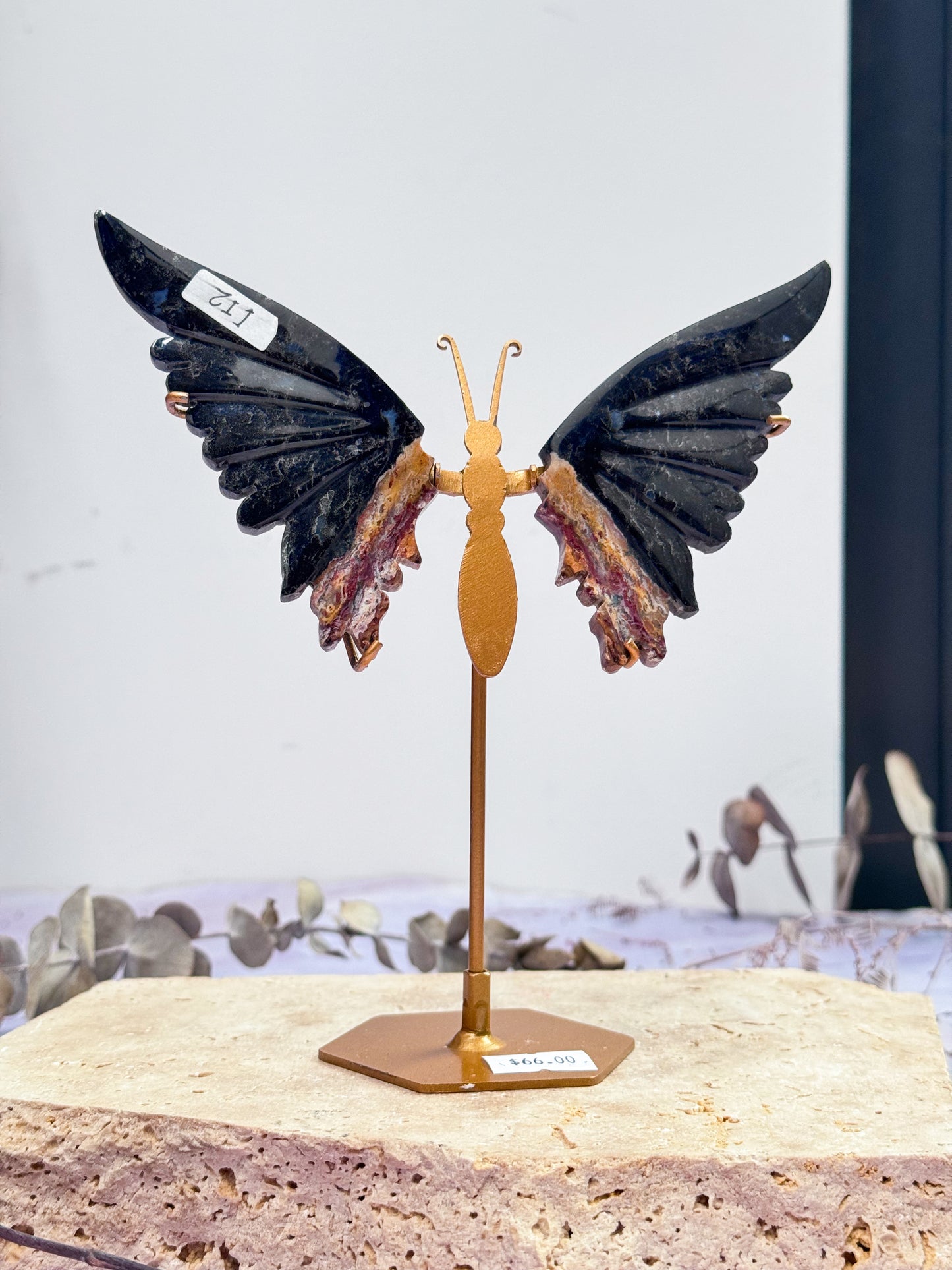 Petrifed Palm Root Butterfly Wings