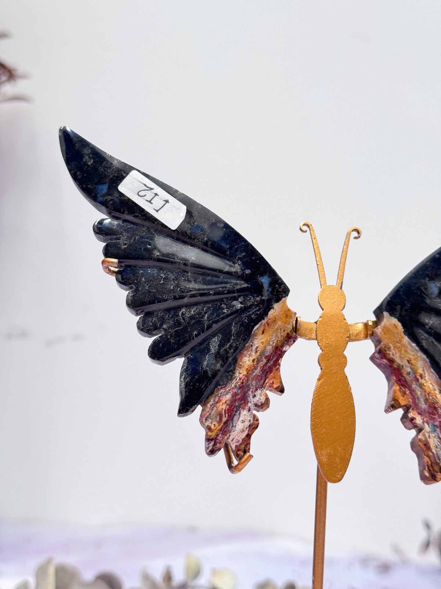 Petrifed Palm Root Butterfly Wings