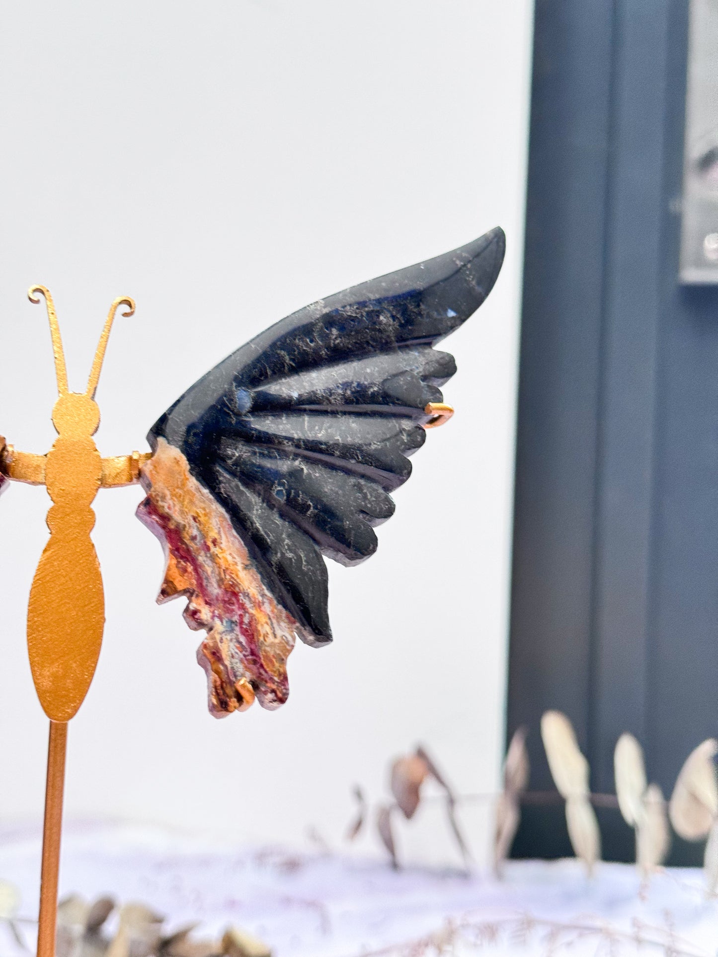 Petrifed Palm Root Butterfly Wings
