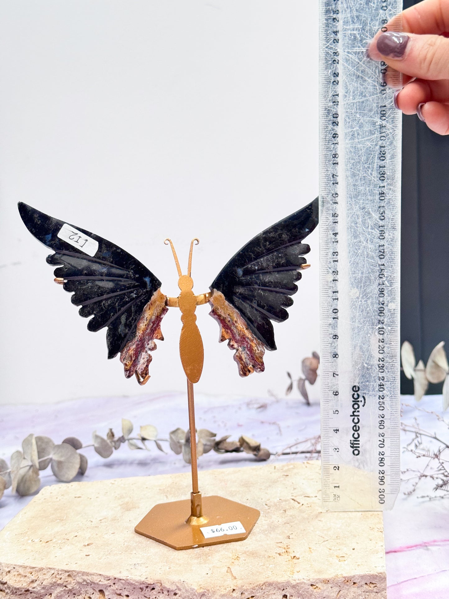 Petrifed Palm Root Butterfly Wings