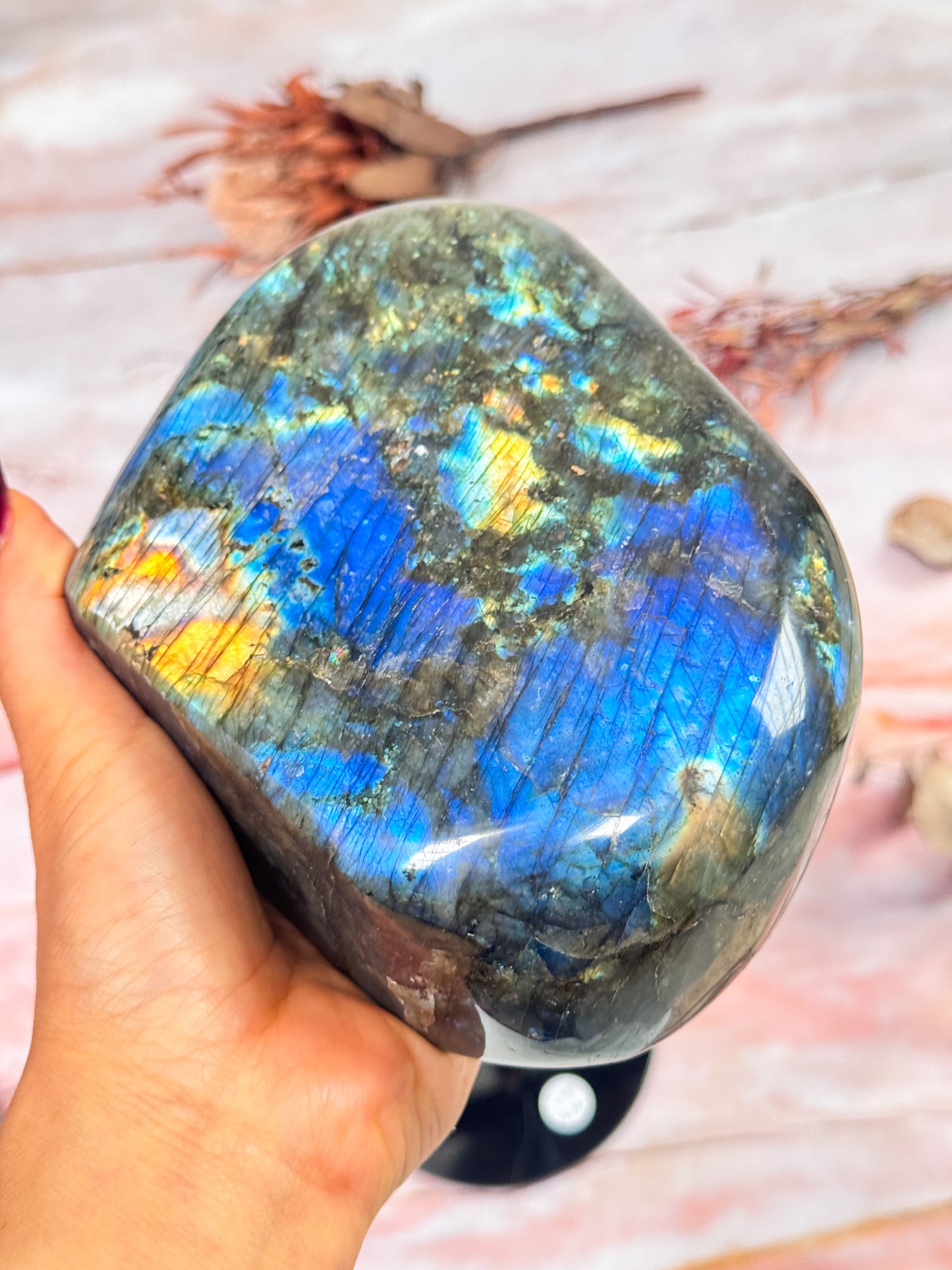 Labradorite Freeform on Stand