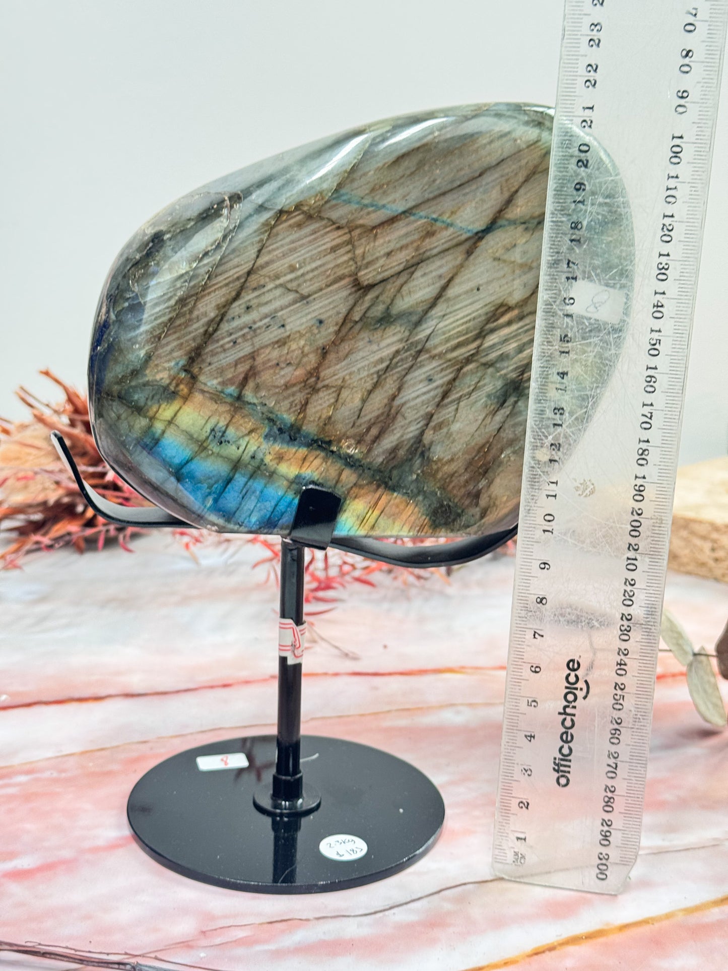 Labradorite Freeform on Stand