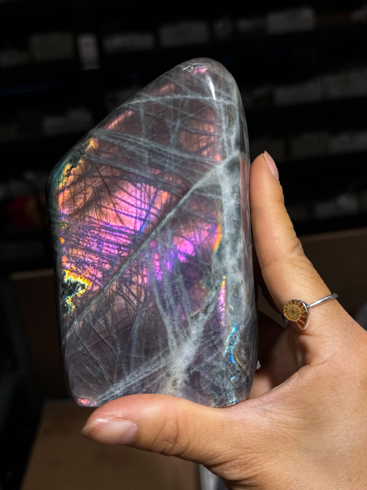 Purple Labradorite Freeform