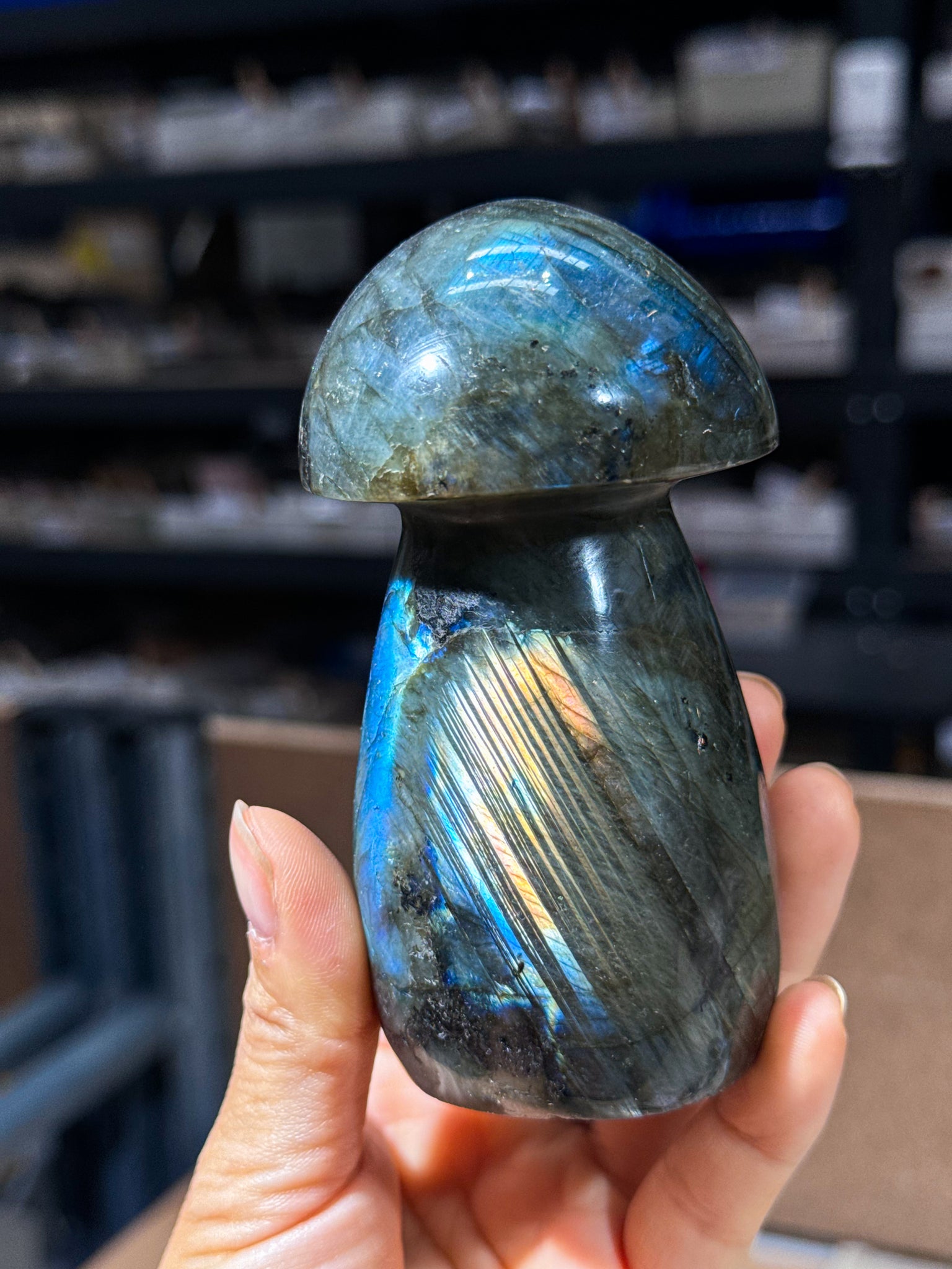 Labradorite Mushroom