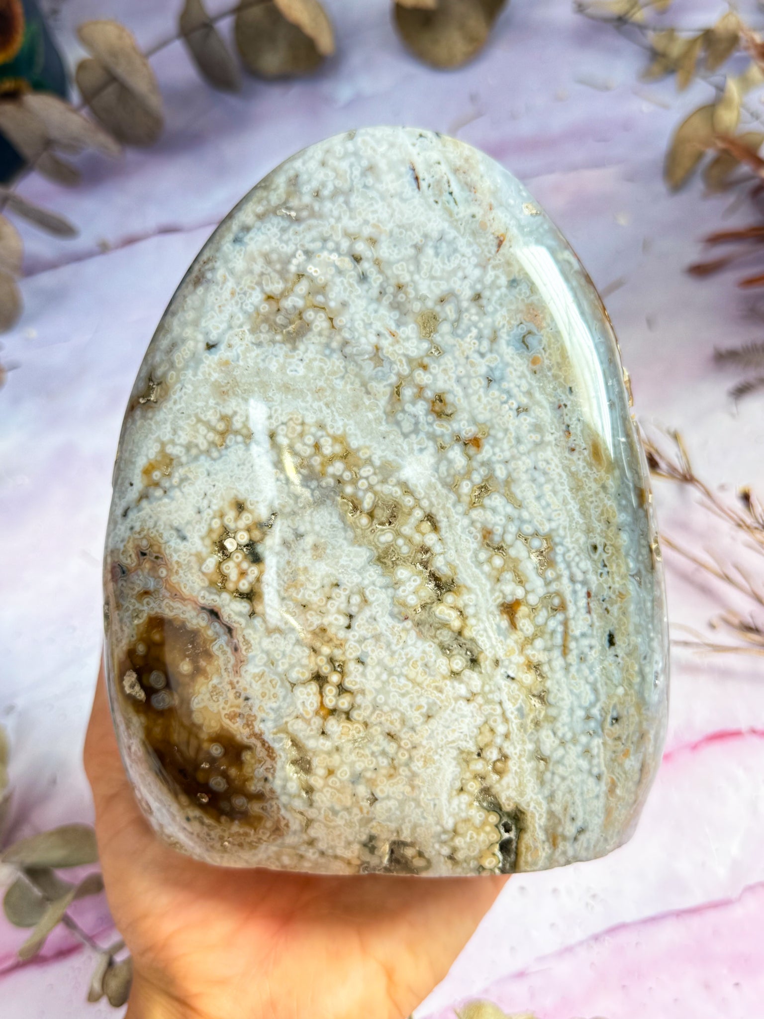 Orbicular Ocean Jasper Freeform