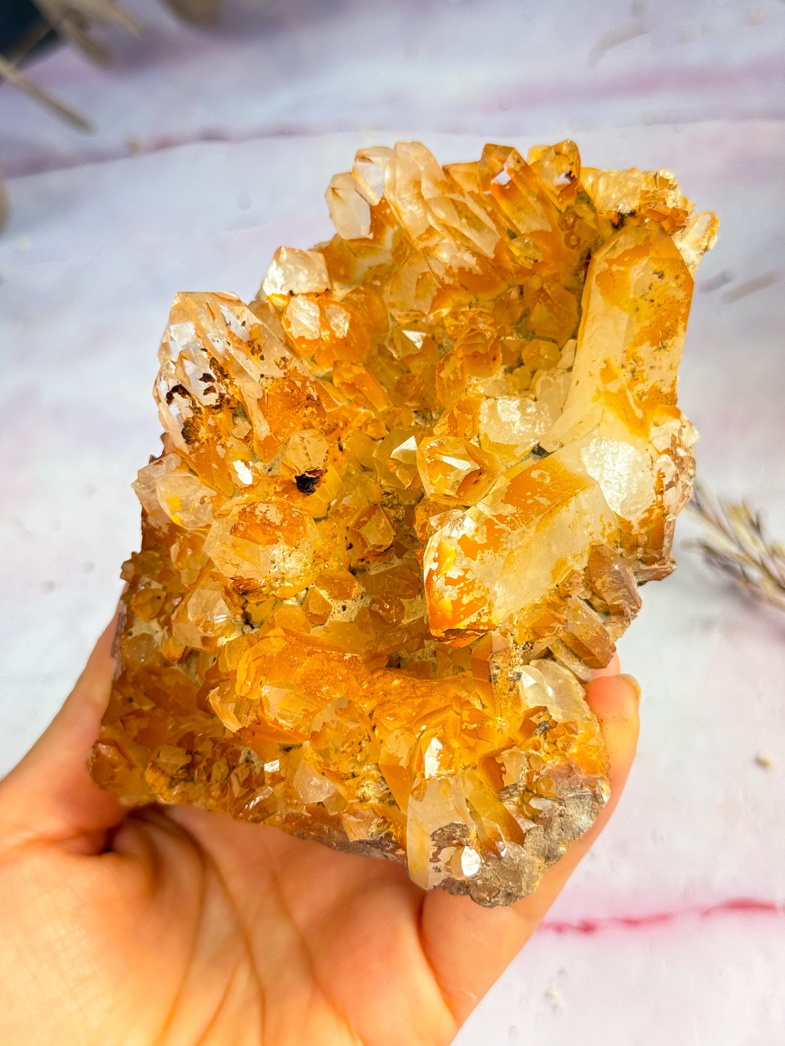 Golden Healer Cluster