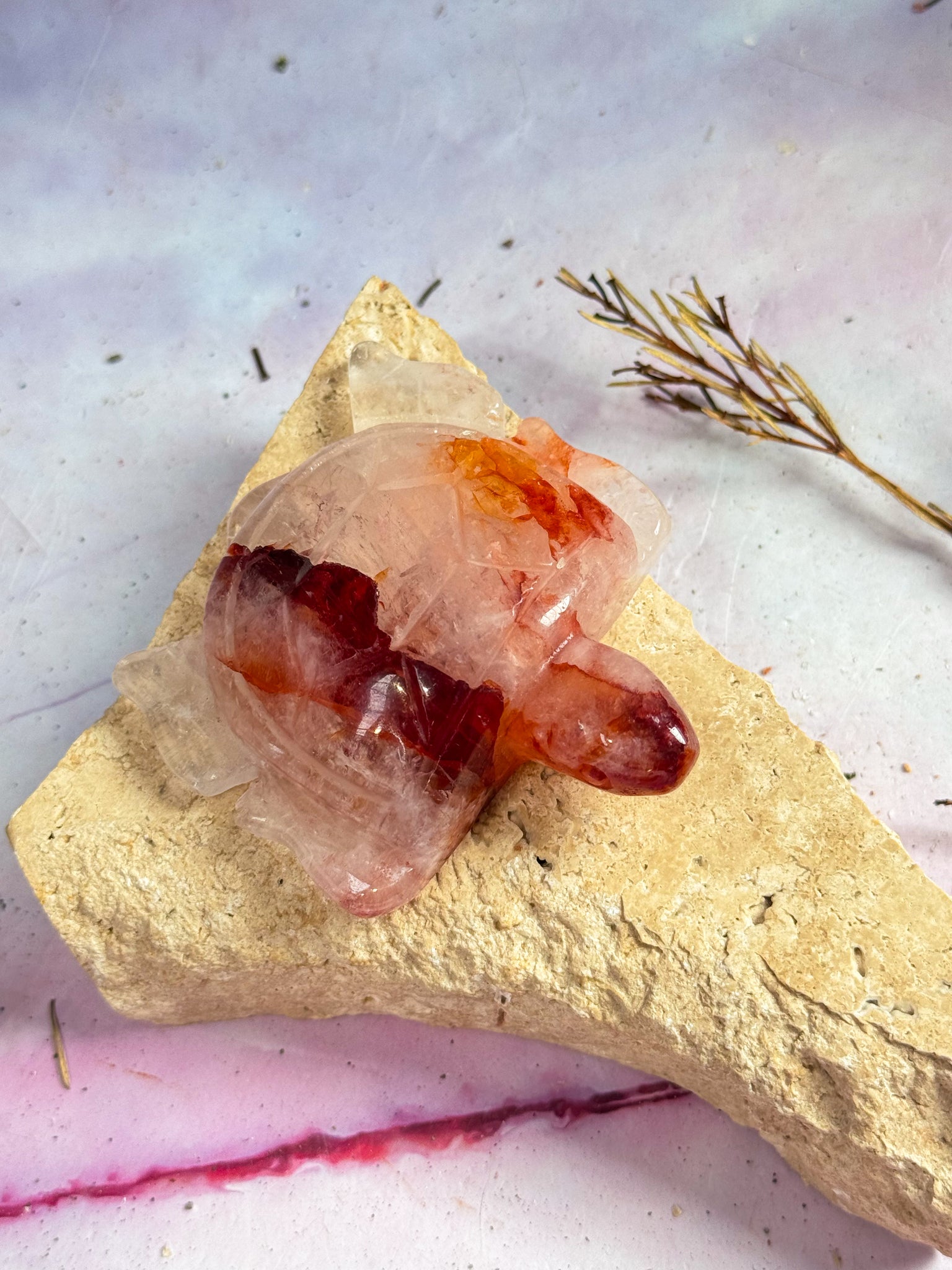 Fire Quartz Turtle