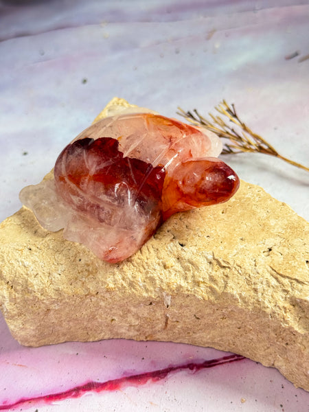 Fire Quartz Turtle