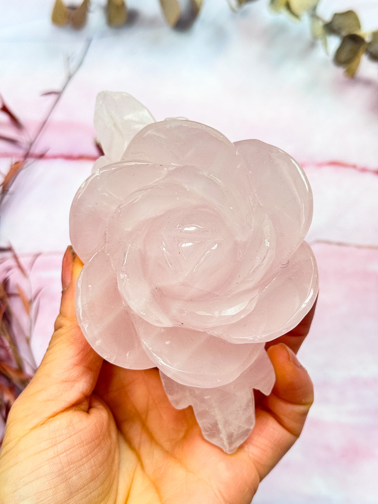 Rose Quartz Rose