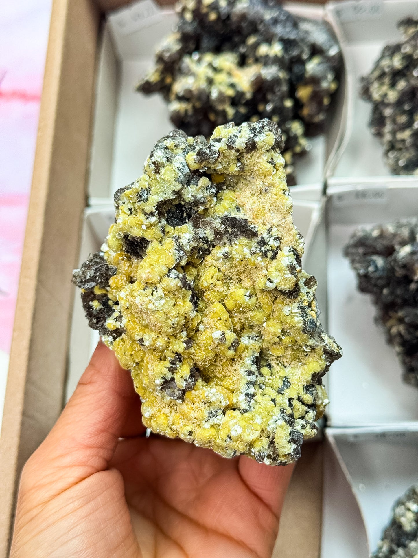 Rare Smokey Fluorite with Yellow Vermiculite