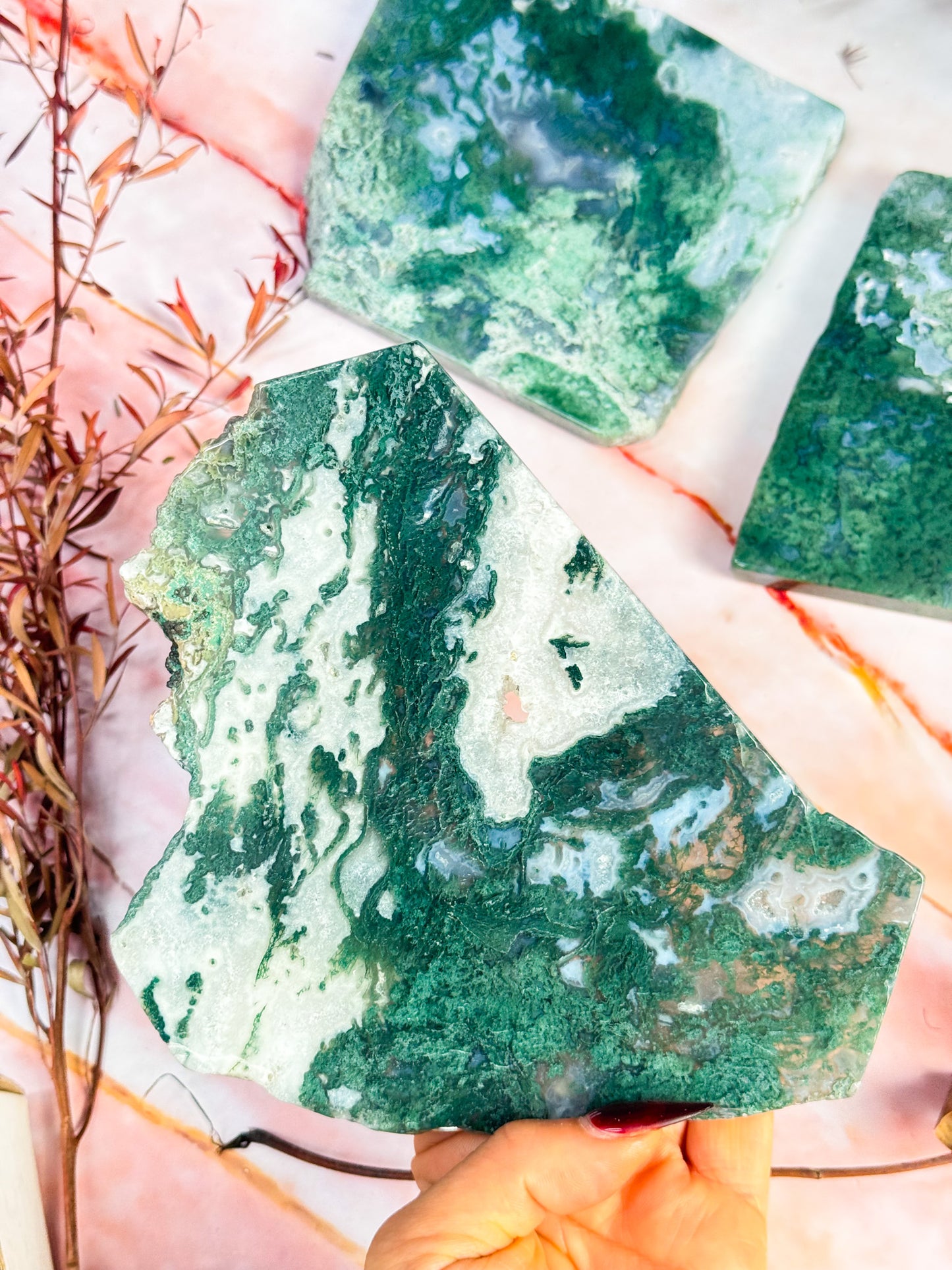 Moss Agate Slices