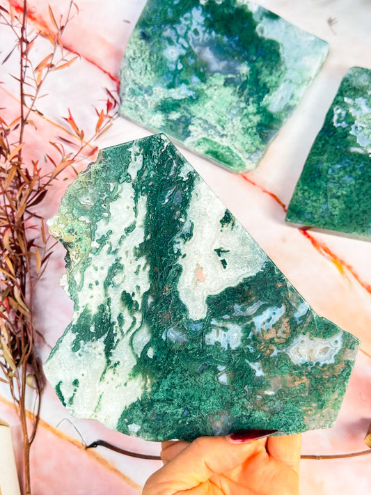 Moss Agate Slices