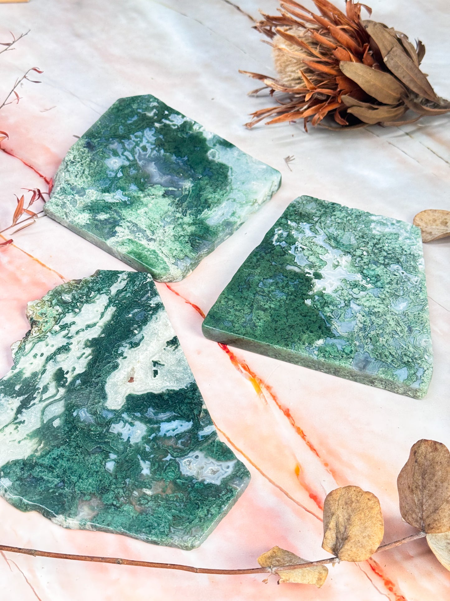Moss Agate Slices