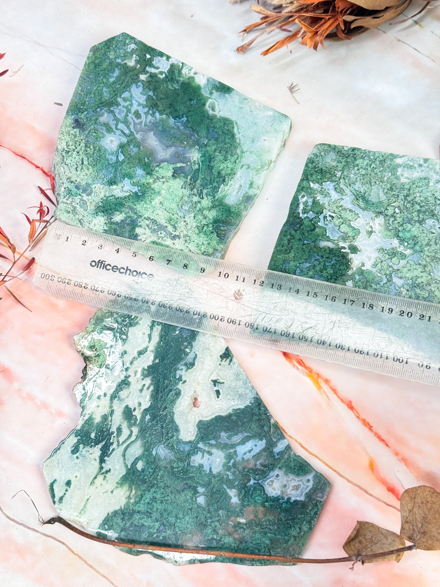 Moss Agate Slices
