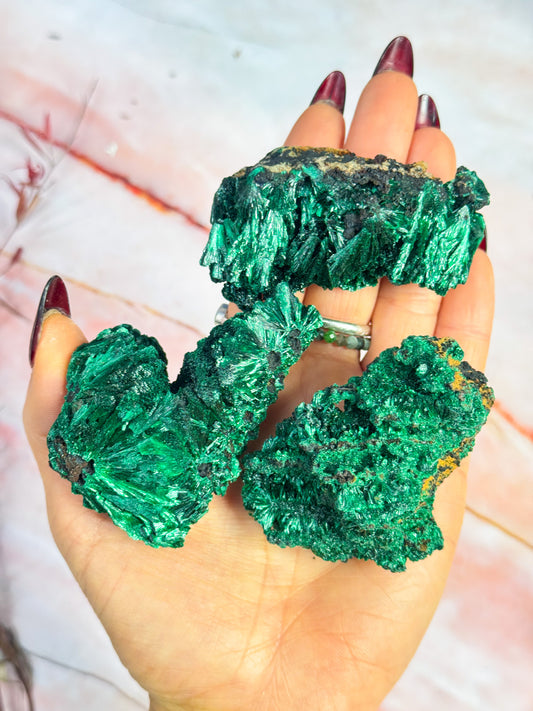 Silky Malachite Specimens