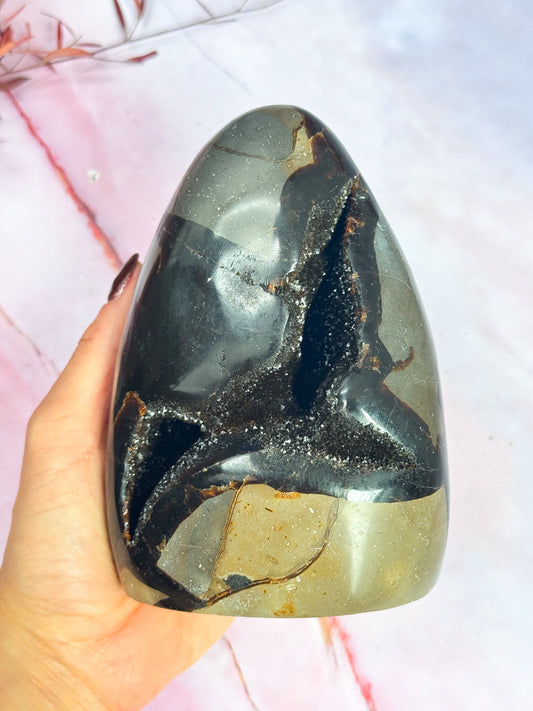 Septarian Dragon Freeform