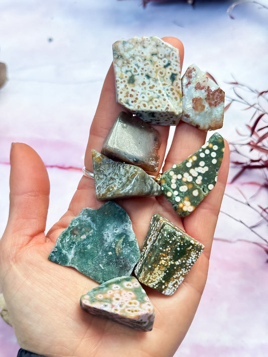 Orbicular Ocean Jasper Shards