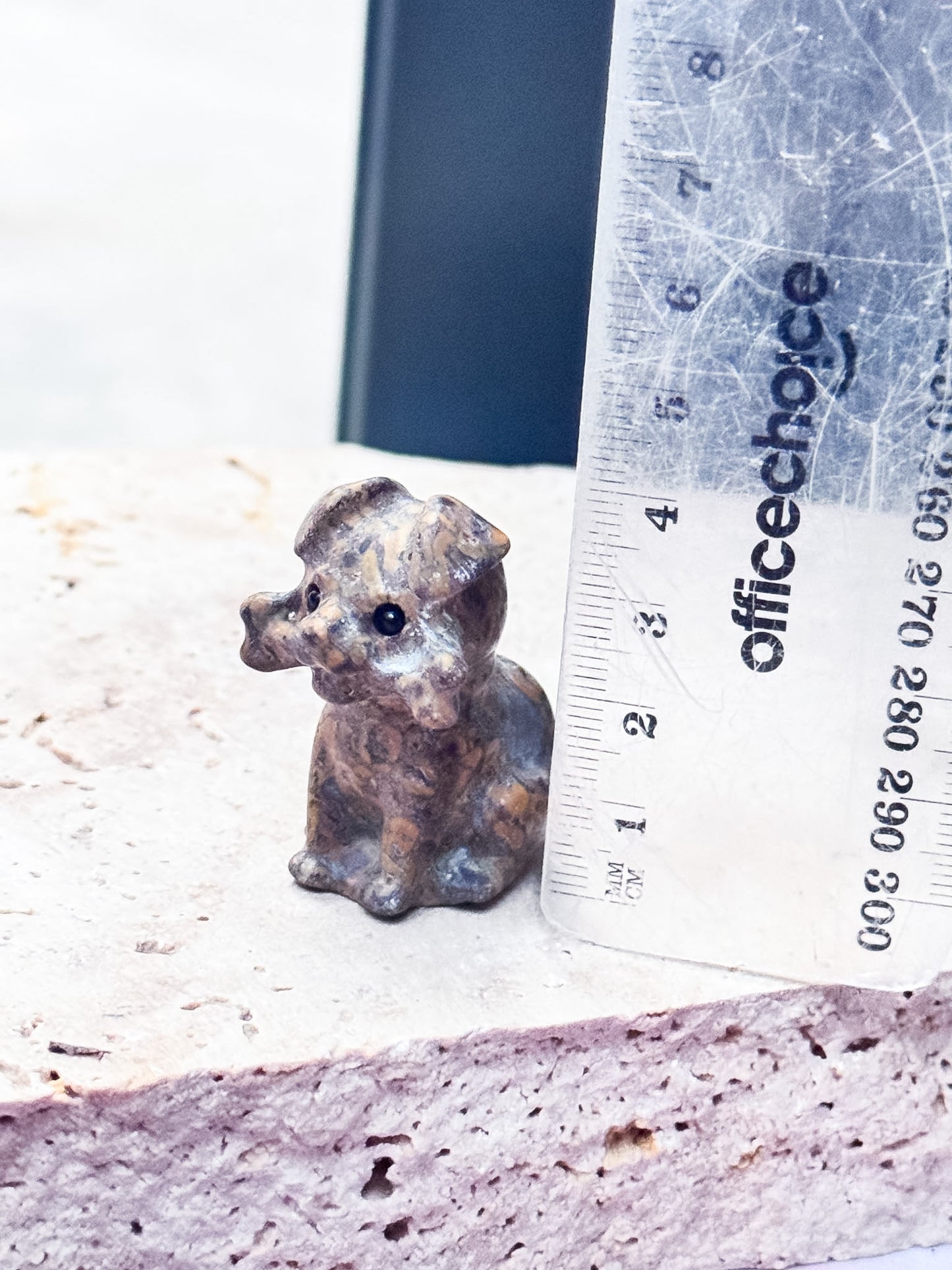 Dog with Bone Carvings