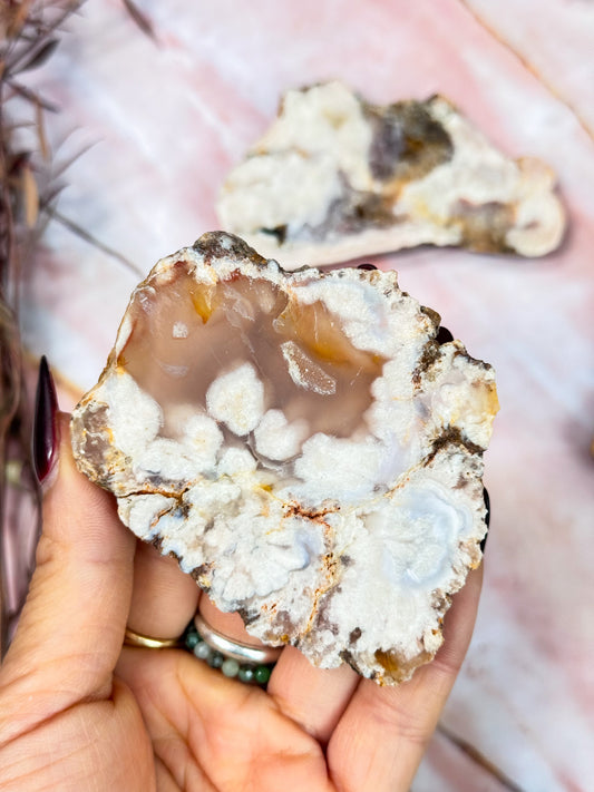 Flower Agate Slices