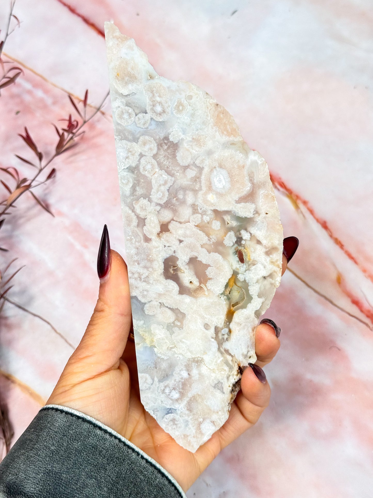 Flower Agate Slices