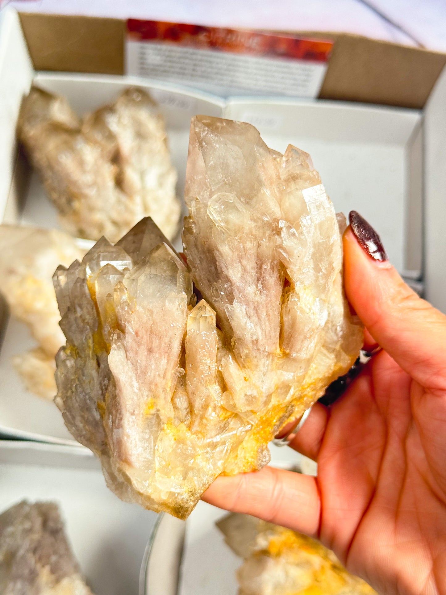 Congo Citrine Clusters