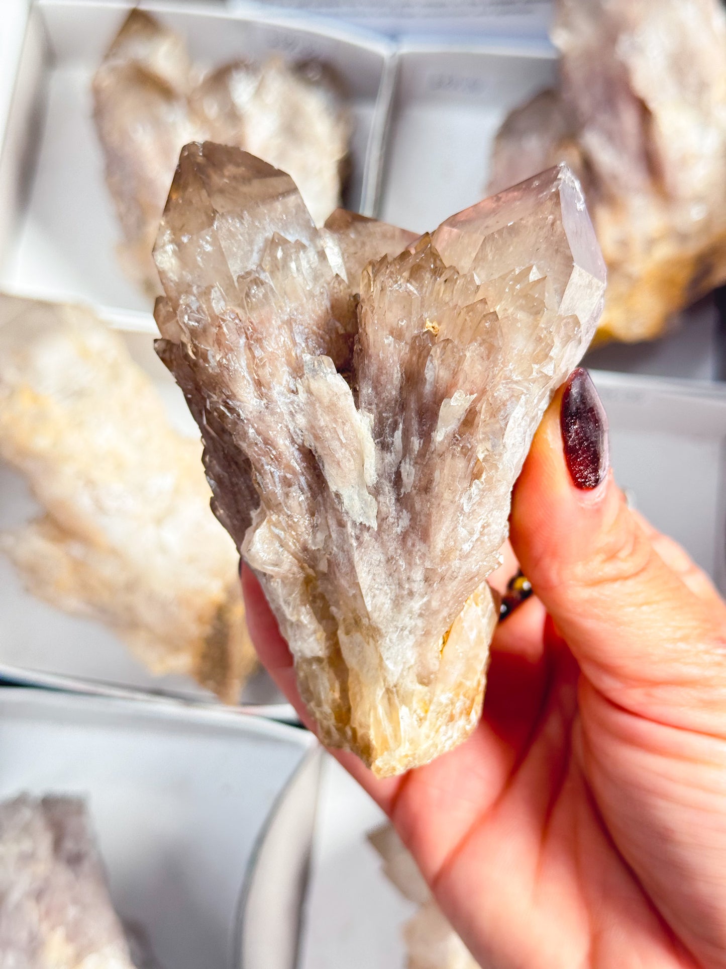 Congo Citrine Clusters