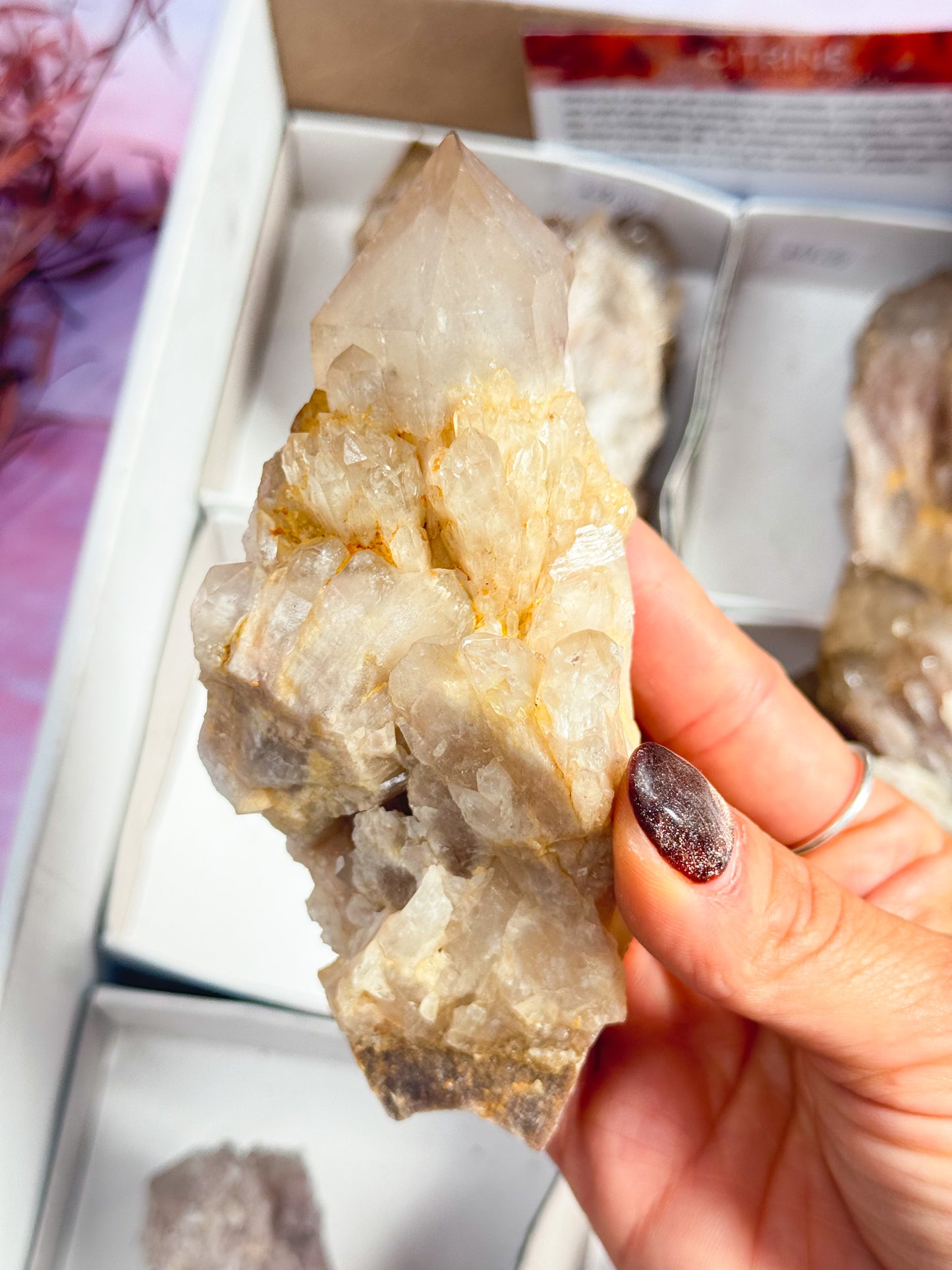 Congo Citrine Clusters