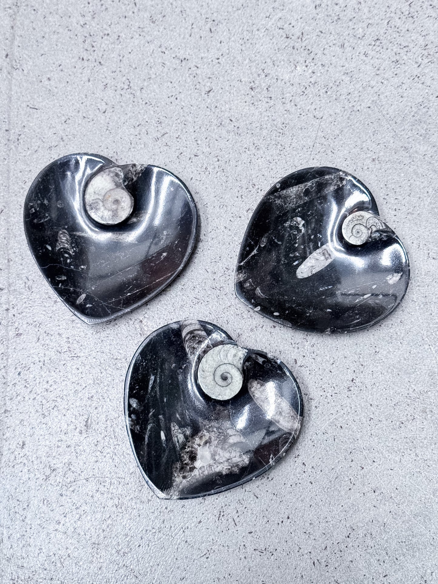 Fossil Heart Bowls