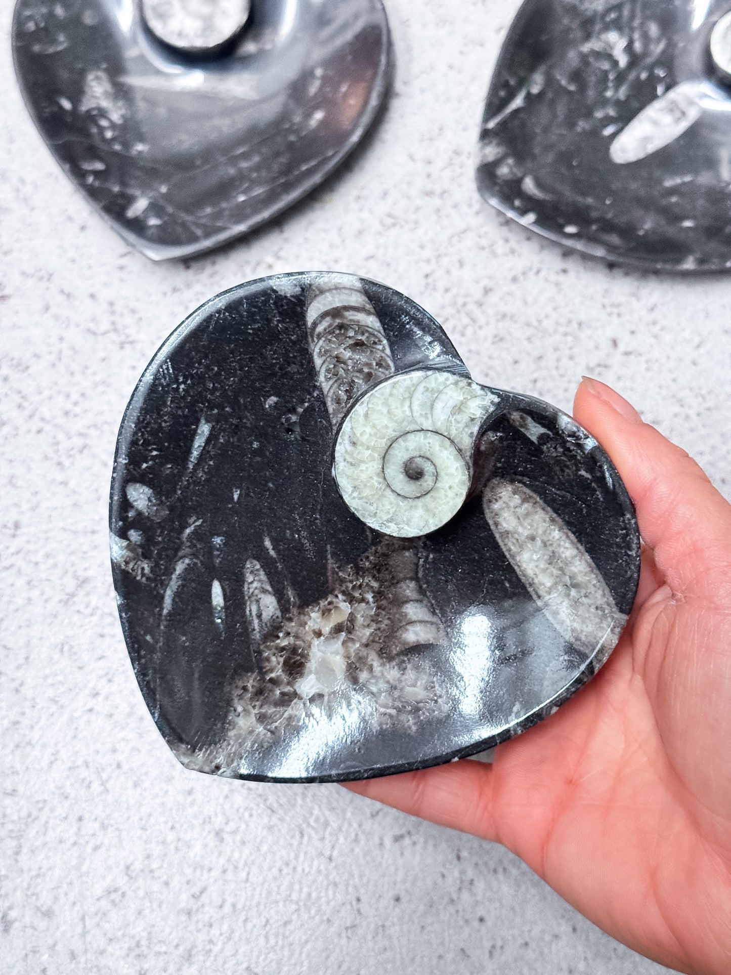 Fossil Heart Bowls