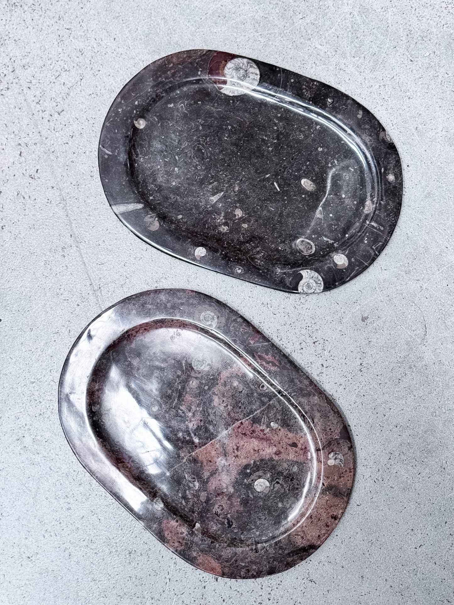 Large Fossil Plates