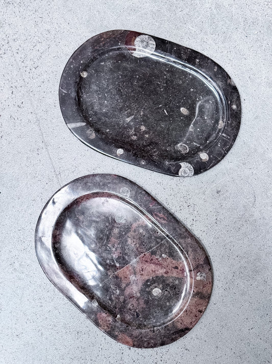 Large Fossil Plates