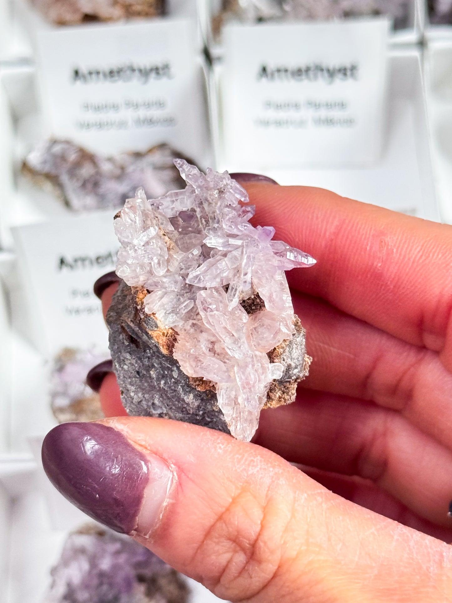 Vera Cruz Amethyst Clusters - Small