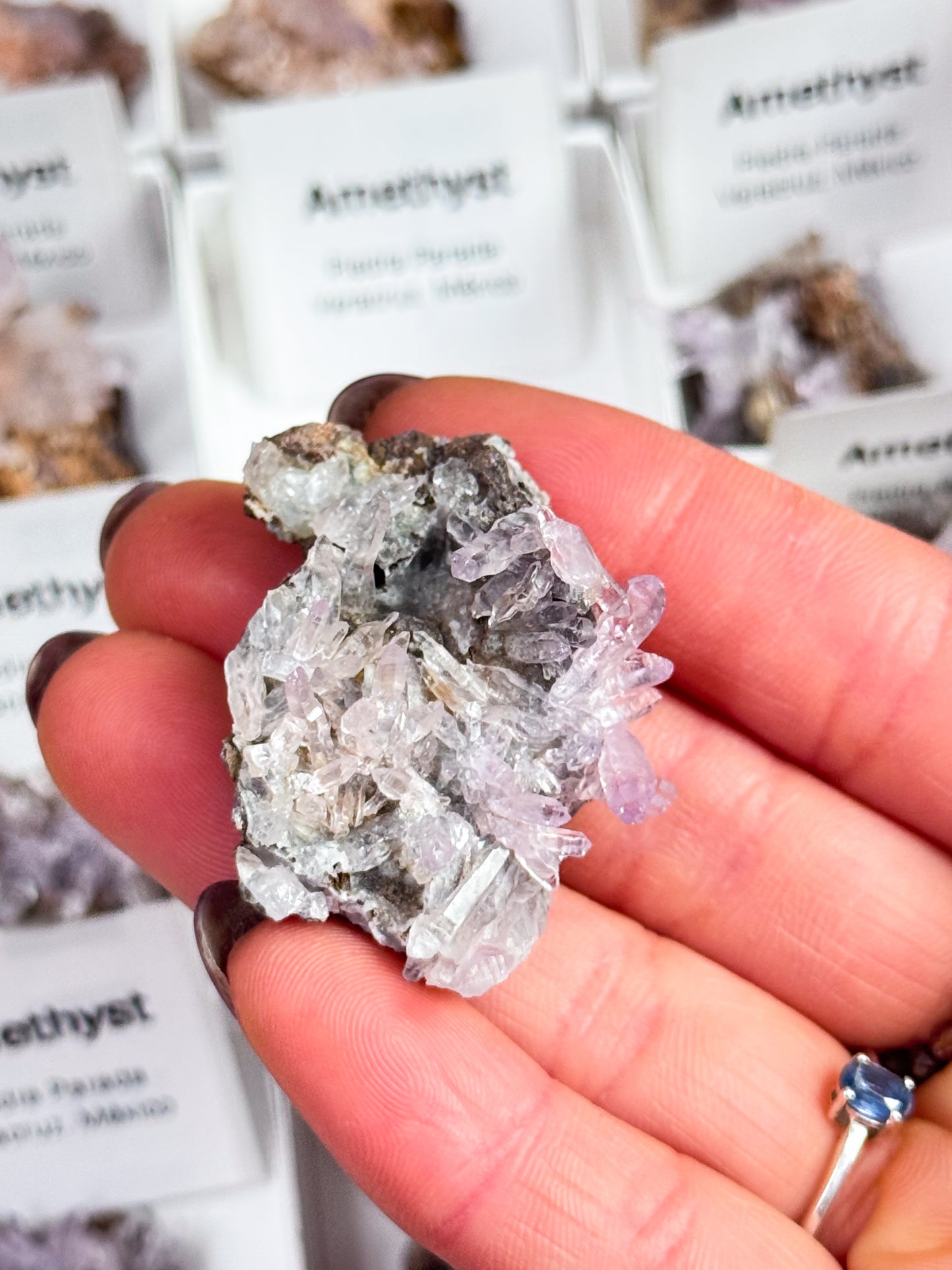 Vera Cruz Amethyst Clusters - Small