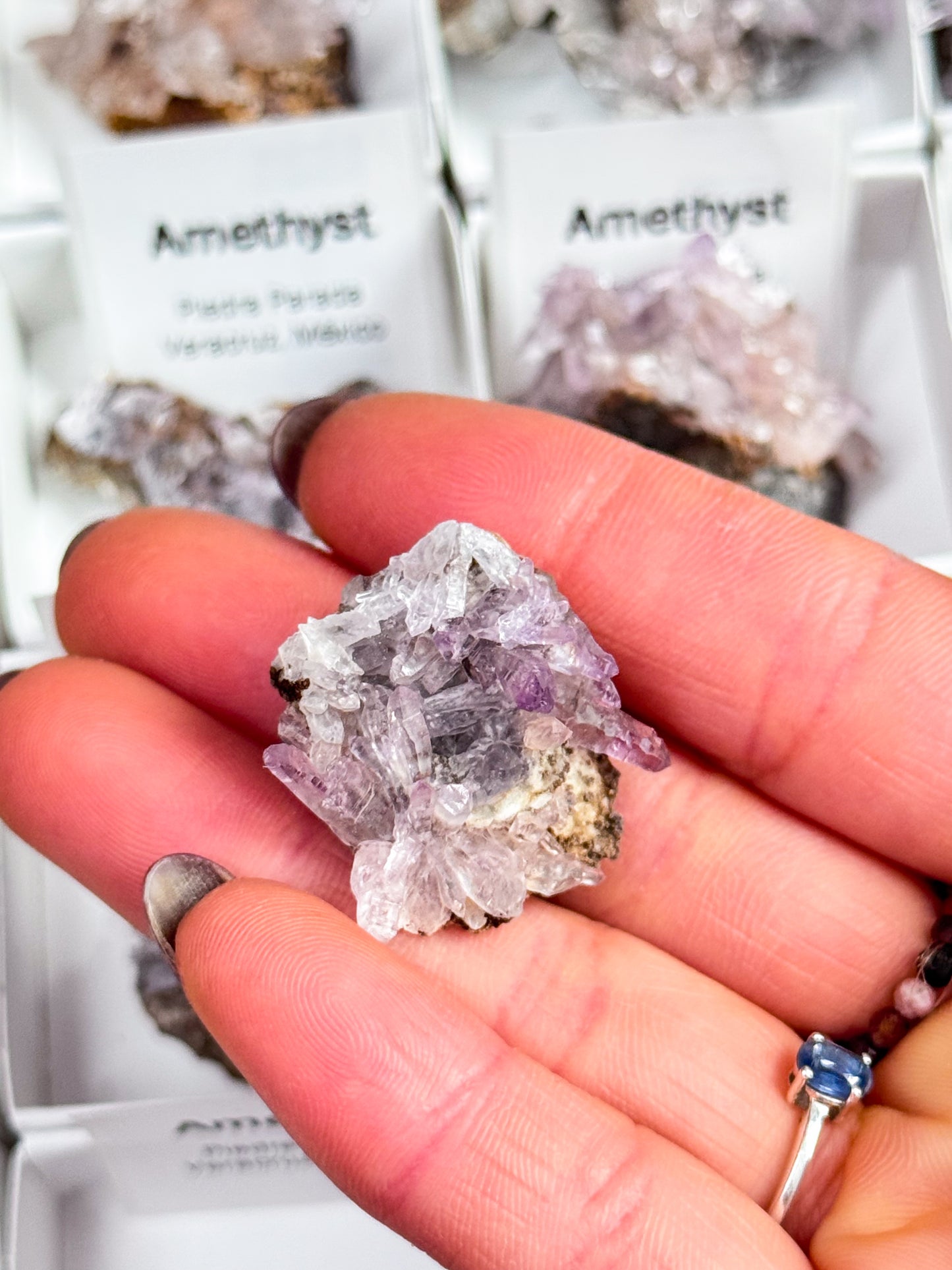 Vera Cruz Amethyst Clusters - Small