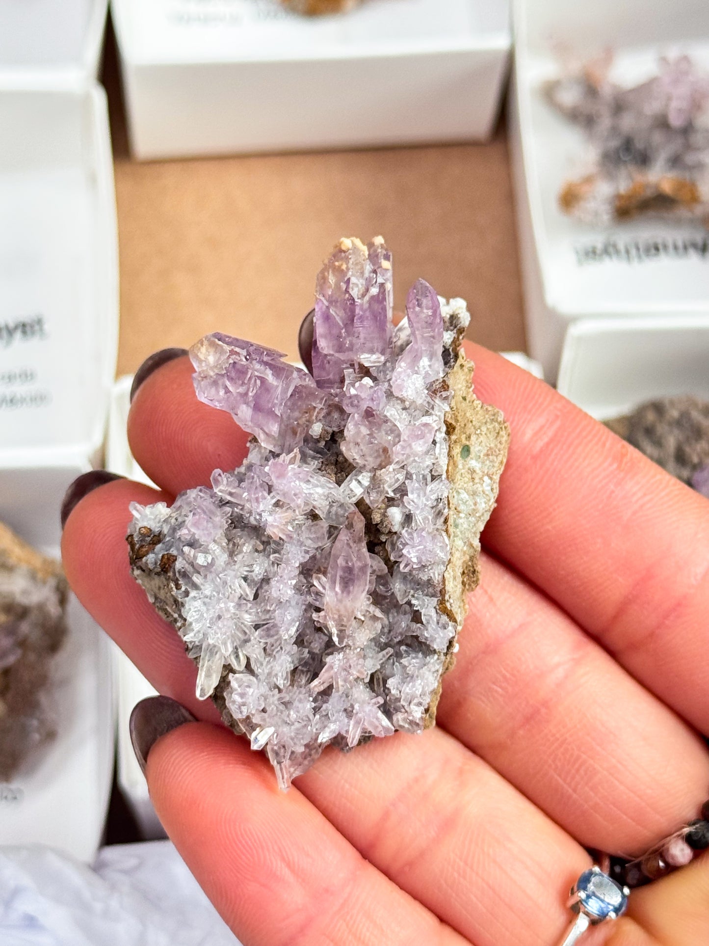 Vera Cruz Amethyst Clusters - Medium