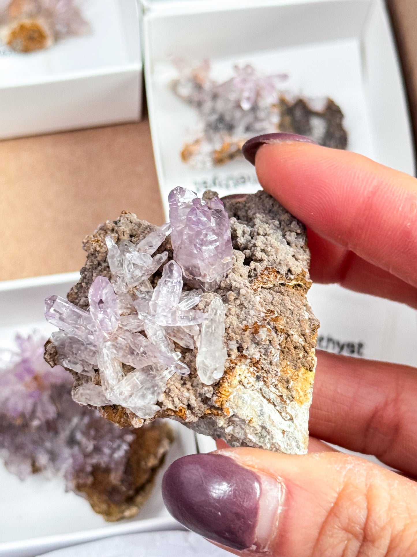 Vera Cruz Amethyst Clusters - Medium