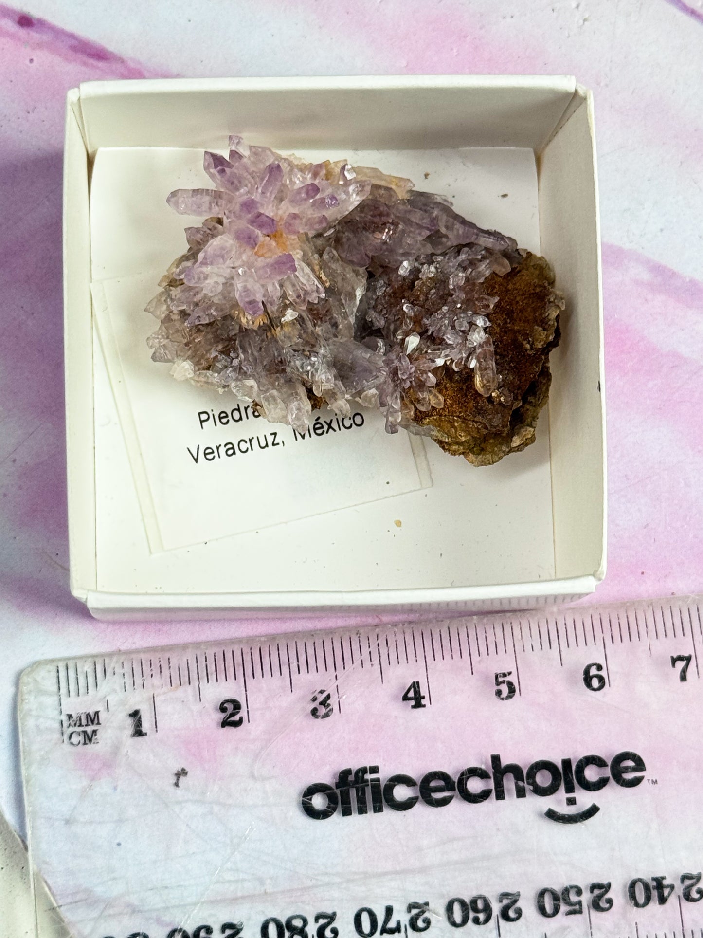 Vera Cruz Amethyst Clusters - Medium
