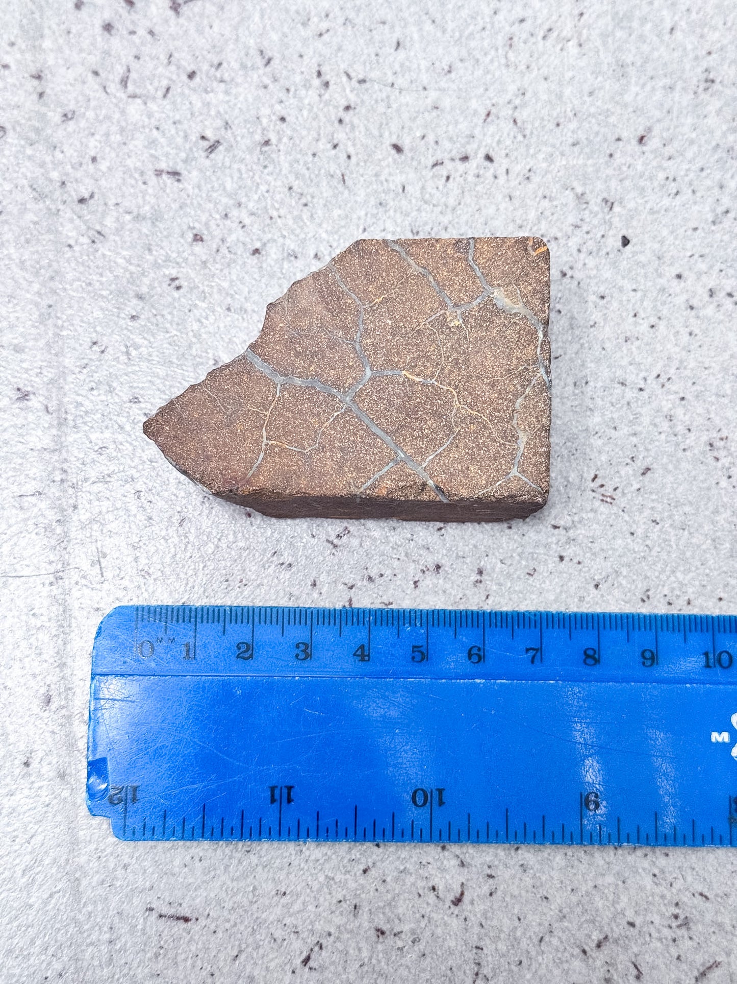 Boulder Opal Roughs