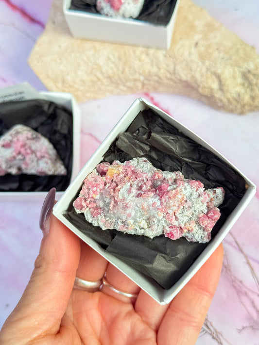 Pink Garnet Specimens