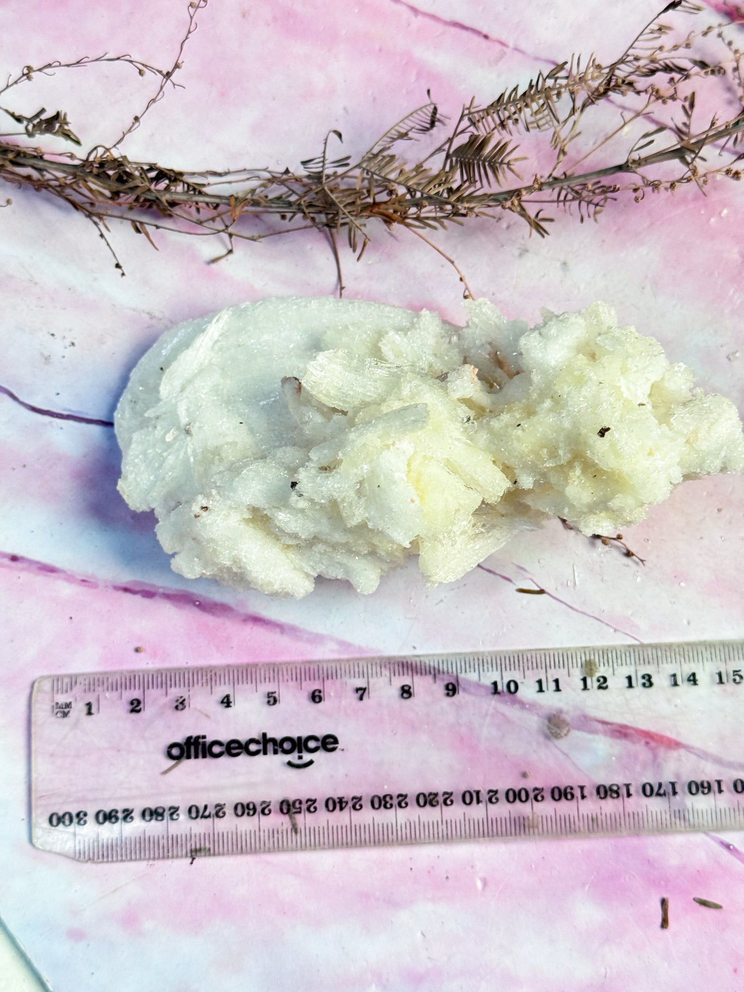 Wave Rams Horn Selenite