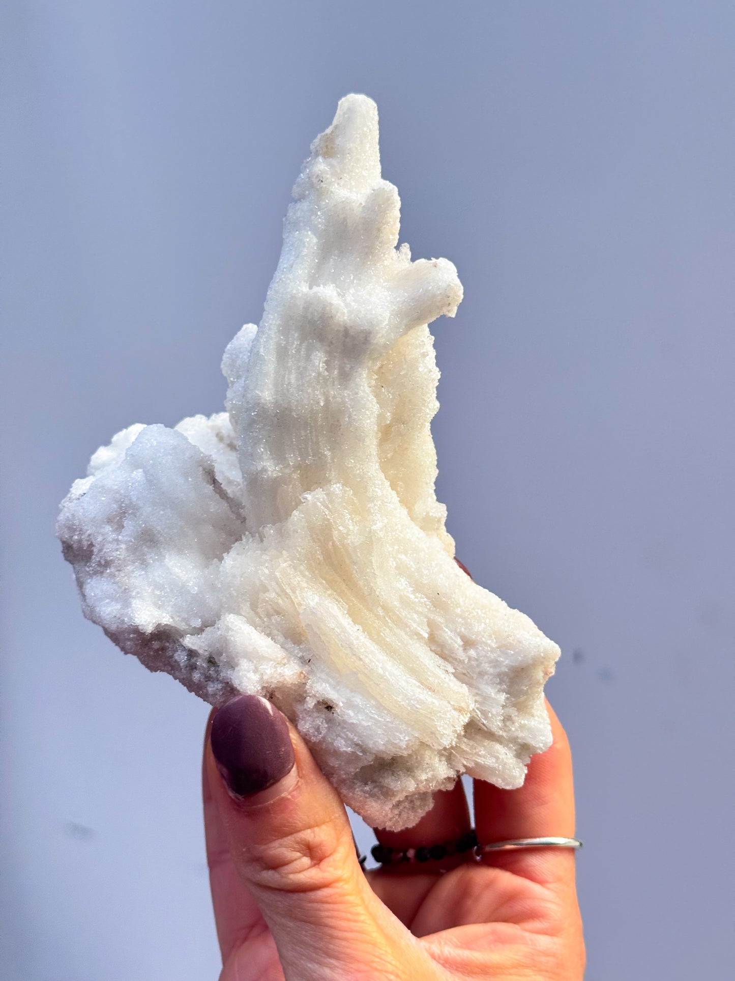 Wave Rams Horn Selenite
