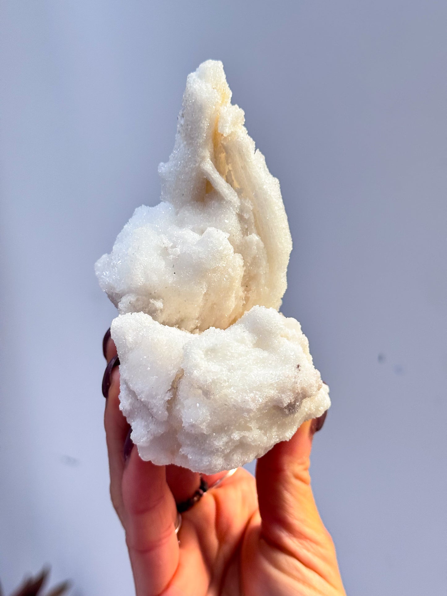 Wave Rams Horn Selenite