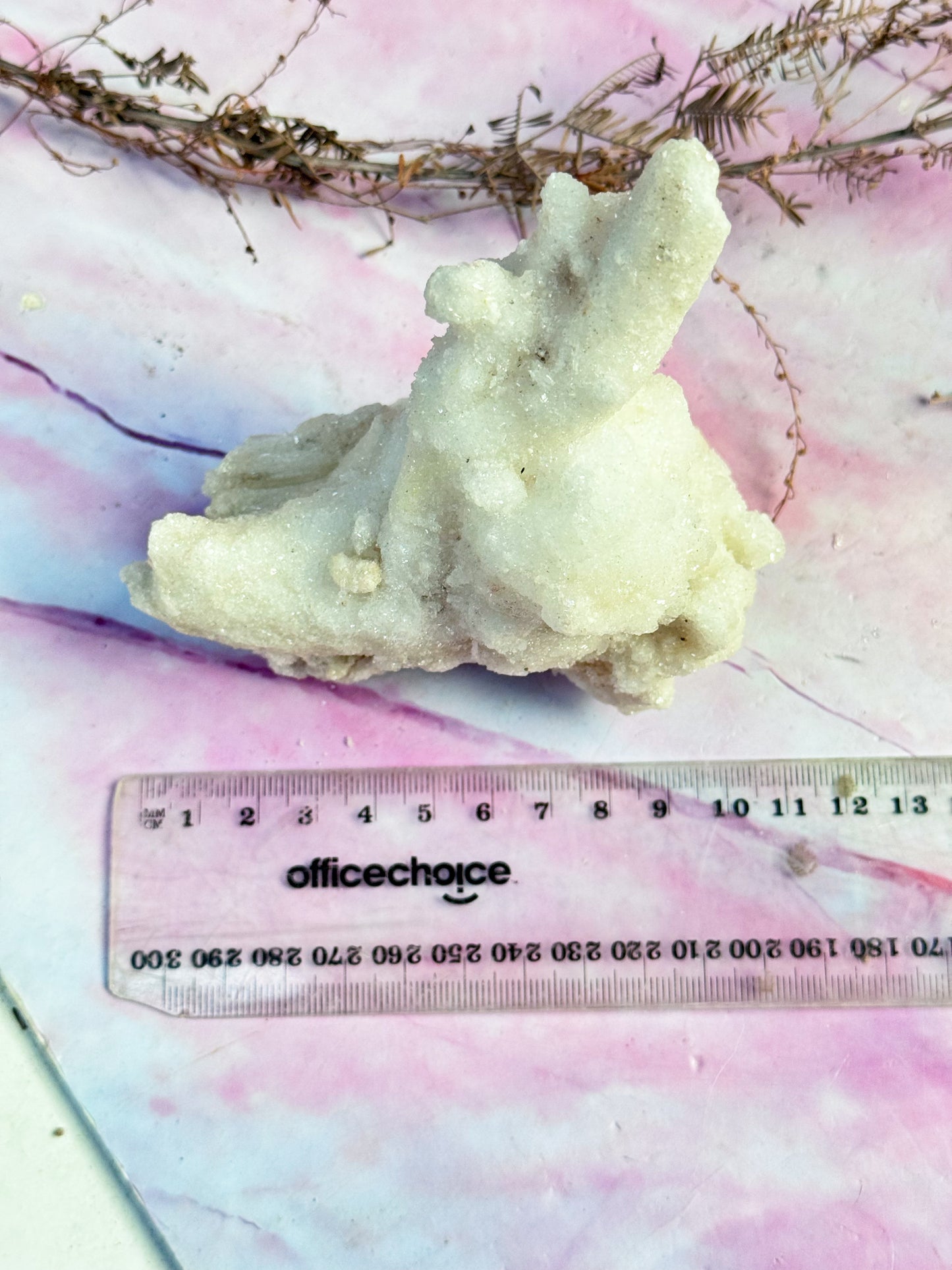 Wave Rams Horn Selenite